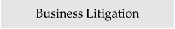 Business Litigation