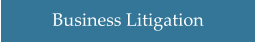 Business Litigation