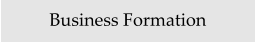 Business Formation