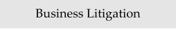Business Litigation