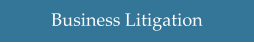 Business Litigation