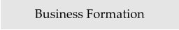 Business Formation