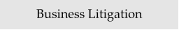 Business Litigation
