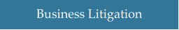 Business Litigation