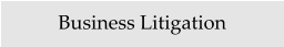 Business Litigation